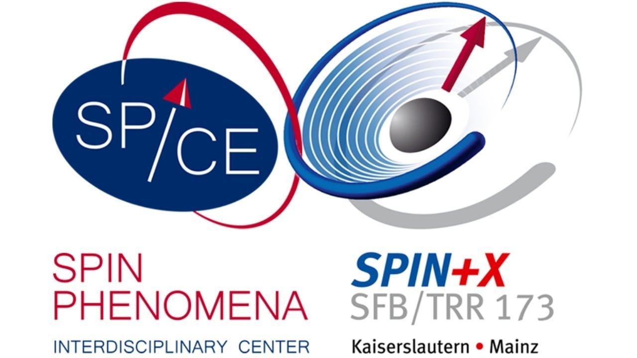 Spin dynamics. Spin dynamics