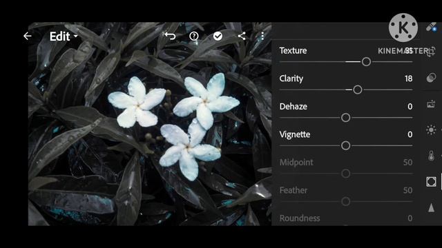 PHOTO EDITING TUTORIAL | DARK MOODY COLOR GRADING |  MOODY FLOWER EDITING | Snapseed & Lightroom