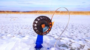 Отличная рыбалка на жерлицы. Ноябрь 2024.