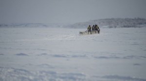 Берингия: что рассказывают о гонке на собачьих упряжкам по Камчатке каюры