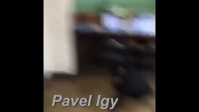 ТЕСТ НА ПСИХИКУ ПОПРОБУЙ НЕ ЗАСМЕЯТЬСЯ смотреть онлайн