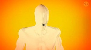 Правда о мифах, с которыми вы выросли