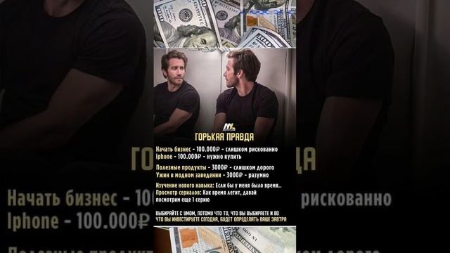 жизнь мир смысл цитаты