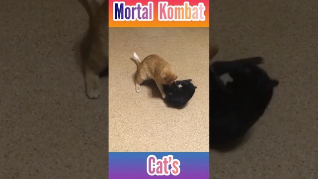 Макс & Буся смотреть онлайн