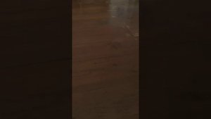 хотел сделать обзор домашнего снюсоеда, а вышел хоррор фильм... 😰 репльная жизнь|real life