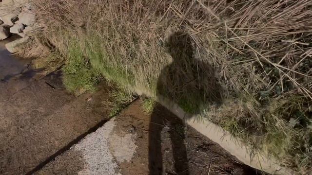 L’eau humide 🌊 мокрая вода #898 март 5 2024 #1день1минута #океанотерапия #франциясегодня #бретань смотреть онлайн