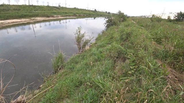 Добыл сазана осенью(slingshot fishing) смотреть онлайн