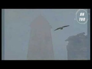 ДИКАЯ ДИВИЗИЯ