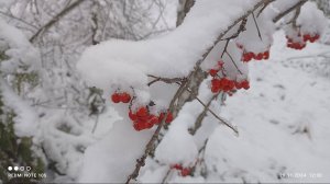 Зимняя сказка в ноябре.
