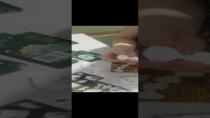VID_20241129_180012.mp4