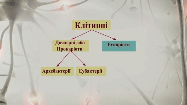 Модуль 7. Екологія і еволюція. Заняття 13: Система органічного світу. Біологія і майбутнє людства