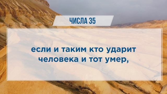 ЧИСЛА глава 35 | Чтение Библии | Библия в современном переводе смотреть онлайн