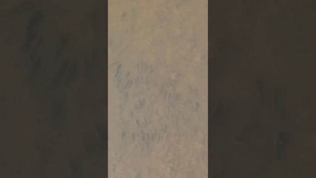 #bowfishing #dartfishing #slingshotfishing #slingshothunting #охота #охотанарогатку #рыбалка #сазан смотреть онлайн