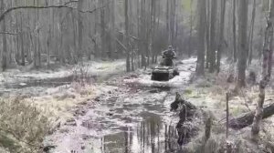 Ролик от владельца #8