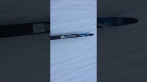 лыжи SALOMON S/MAX CARBON SKATE