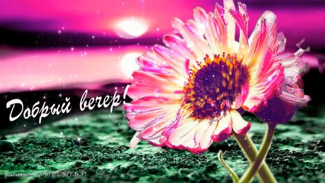 КРАСИВЫЕ ПЕСНИ ОБО ВСЁМ...ДОБРЫЙ ВЕЧЕР! смотреть онлайн