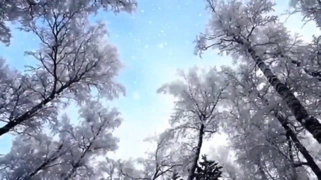 Хорошая песня для души😍Снег❄️❄️летит исп.Галина гармонист самоучка)) смотреть онлайн
