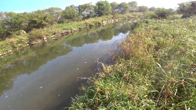 Осеняя охота на сазана(slingshot fishing) смотреть онлайн