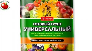 Чем удобрять рассаду перца? Первая подкормка самая важная!