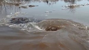 Чудовищный водоворот