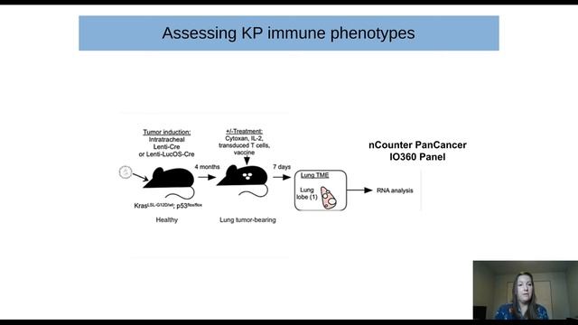 Using genetically engineered preclinical models to study T cell therapy against solid tumors смотреть онлайн