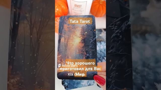 Что приятного и хорошего приготовил для Вас Мир 💥 #таро #эзотерика #tarot #таролог #минск #гадание