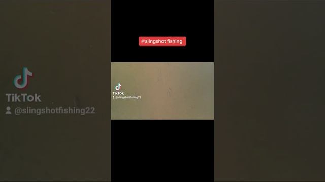 2 ноября 2022 г. смотреть онлайн