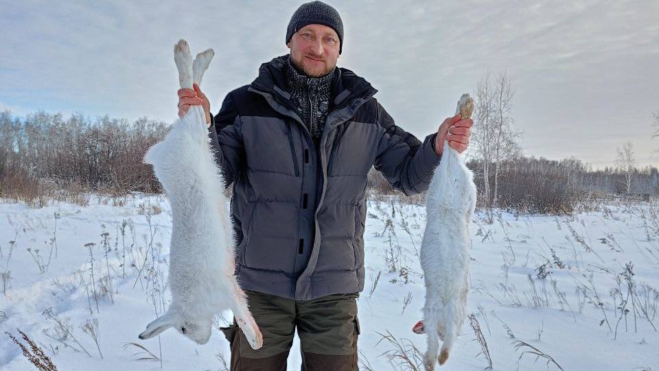 тропление зайца беляказаяц лежит до последнего охотаназайца заяцбеляк самотопомзазайцем