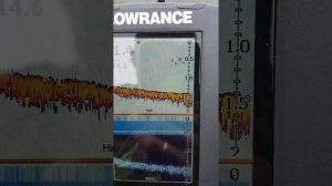 Fish-master mini и lowrance hook 4x