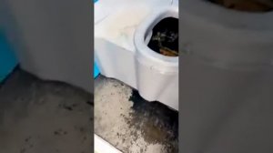 ПАРЕНЬ ЗАЛЕЗ В БИОТУАЛЕТ