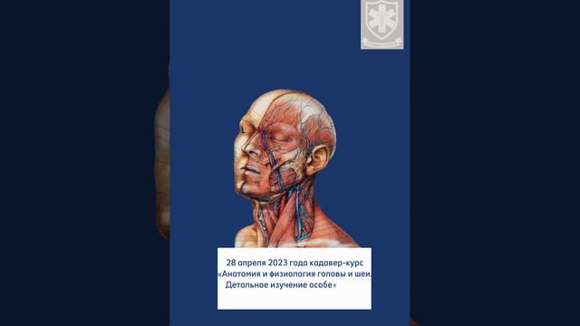 Кадавер-курс «Анатомия и физиология головы и шеи. Детальное изучение особенностей топографии нервов»