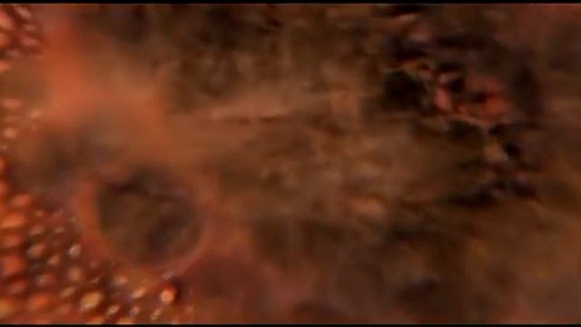 Береги себя. Желудок. смотреть онлайн