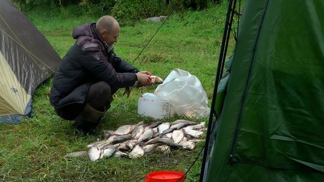 Обь, Соколовка, белая рыба