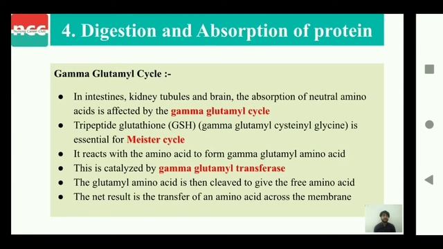 DMLT 2.5.3 – Chemistry of protein