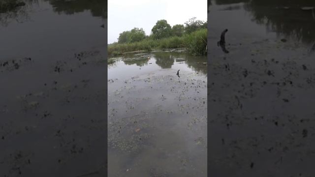 8 января 2023 г.(архив) смотреть онлайн