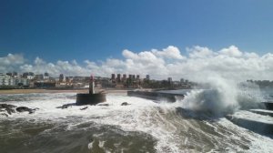 1. Камино-де-Сантьяго - португальский путь Camino Portugués de la Costa или 280км за 11 дней