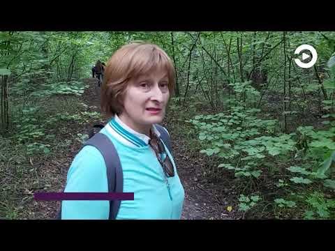 Пензенские экоактивисты обнаружили заражение деревьев в Арбековском лесу