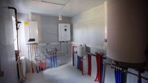 Усадьба Жаворонки №4 с ремонтом