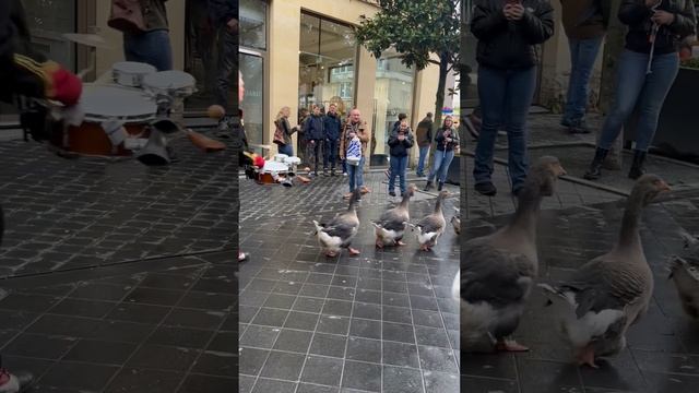 Скачать Парад Нудистов