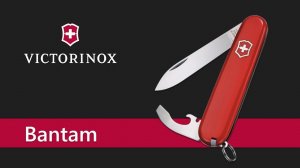 Нож Victorinox Bantam 0.2303 - обзор