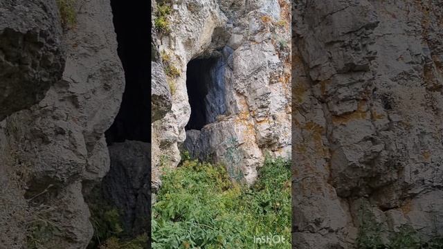 Иограф