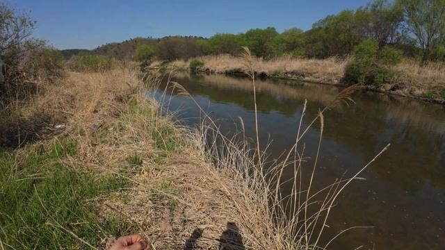 Охота с рогаткой перед нерестом смотреть онлайн