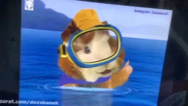 Wonder Pets