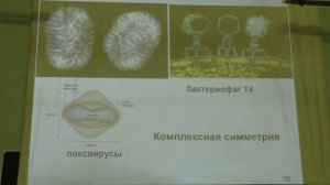 Карпова О. В. - Вирусология - 2. Строение вируса. Понятие инфекции