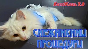 Снежинкины процедуры