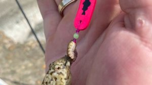 Рыбалка Сочи