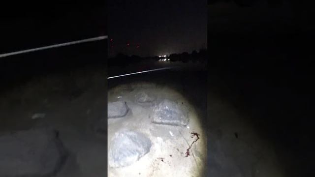 ночная охота #рыбалкасрогаткой #охотанарогатку #slingshotfishing #сазан #охота #bowfishing смотреть онлайн