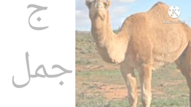 изуение арабского алфавита-джиим смотреть онлайн