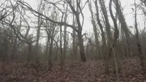 В гости к князю Тундутову
