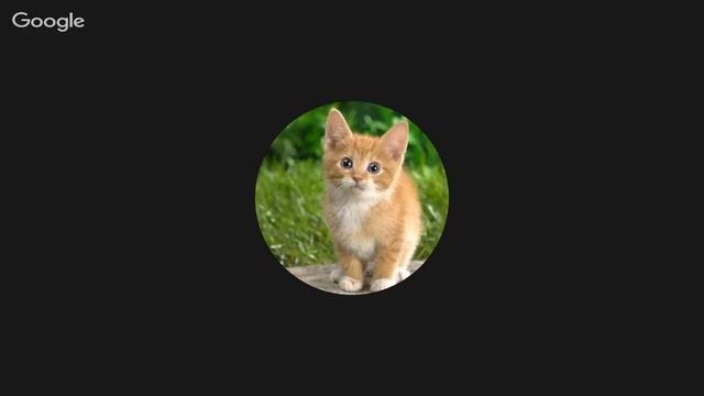 Пропиарю всех! смотреть онлайн